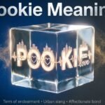 “Title image reading ‘Pookie Meaning’.”