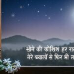 Soft night sky image with moon and stars, showing the calm and emotional feeling of Sleep Shayari.